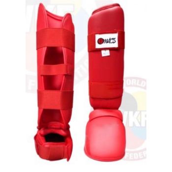 Shin in Step Karate Style