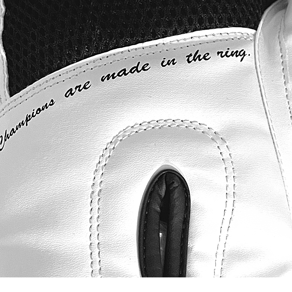 Boxing Gloves for Men Women, Muay Thai MMA Kickboxing Home Gym Training, Sparing Gloves Pair with Premium Mesh Palm