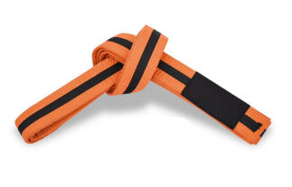 BJJ Belts For Kids & Adults, Black Strip Belt With Sleeve Bar for Ranking Stripes